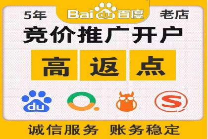 SEM竞价实战：成功案例解析
